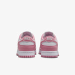 WMNS Nike Dunk Low Next Nature