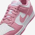 WMNS Nike Dunk Low Next Nature