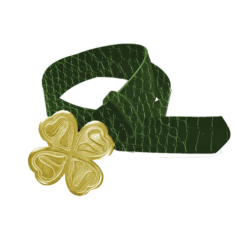 CINTURON DE LA SUERTE TREINO®️ GOLD COCODRILE
