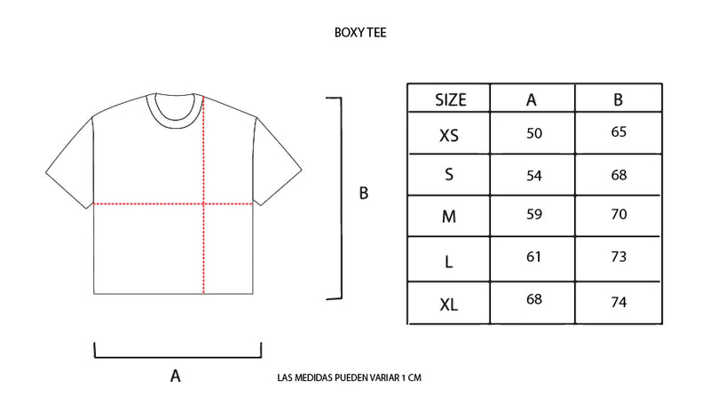 Nube Western White Boxy Tee