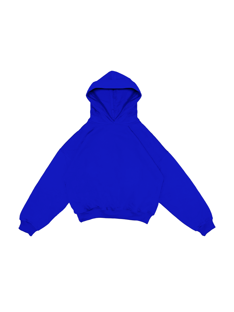 BOXY FIT HOODIE VL2