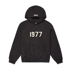 Hoodie Essentials 1977 Iron