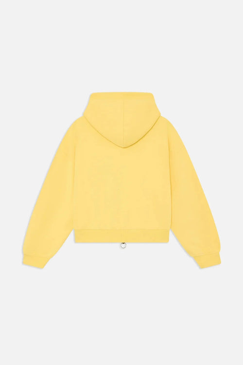 Confused Yellow Zipper