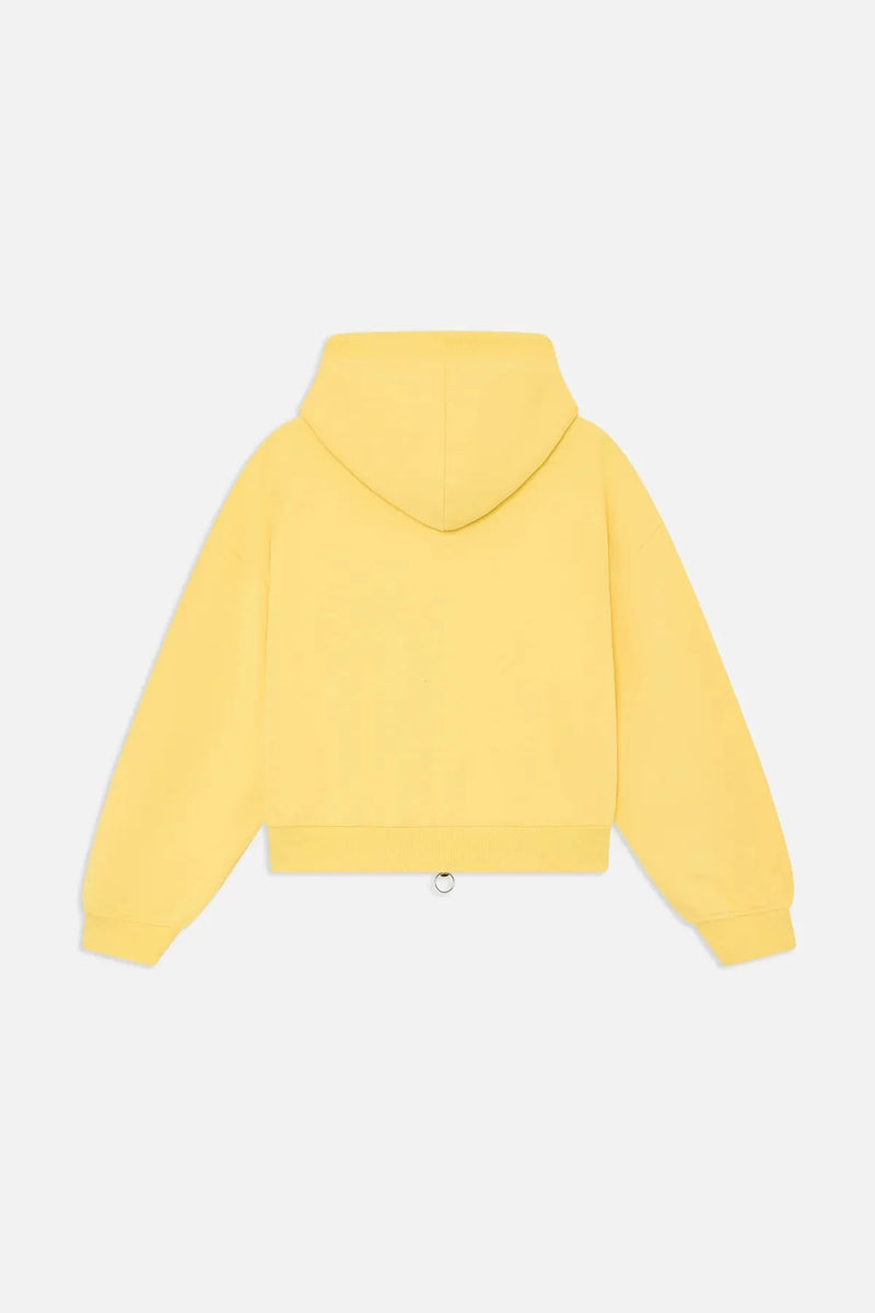 Confused Yellow Zipper