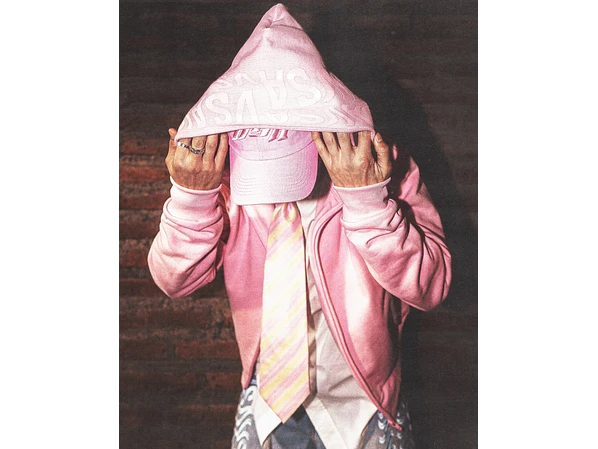 Poleron VSA Turtlhoodie